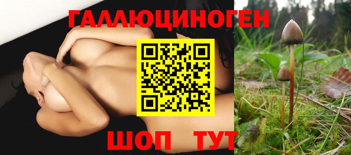 Галлюциногенные грибы Magic Shrooms Лосино-Петровский
